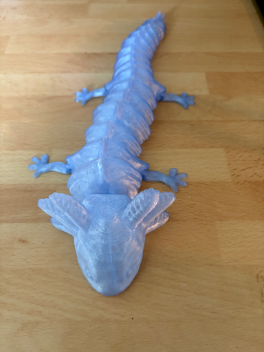 Axolotl